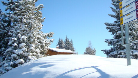 Voorjaars vakantie 2010