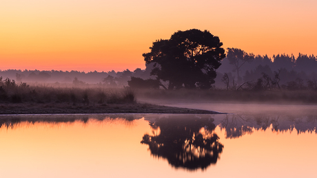 Strabrechtse Heide 247