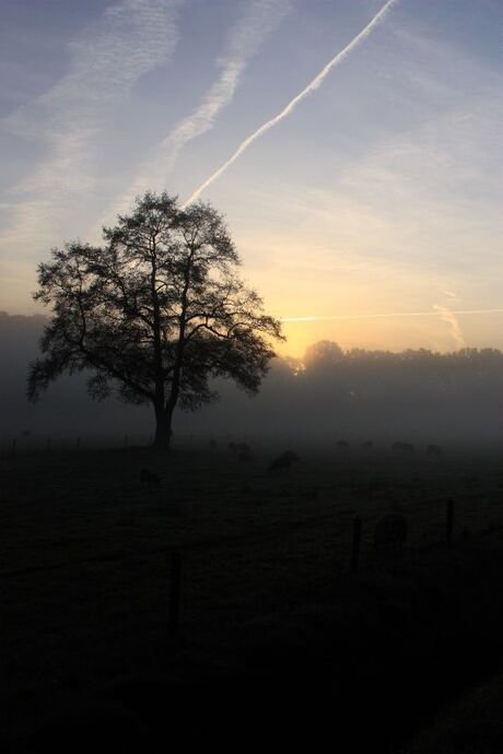 Zonsopkomst in Twente