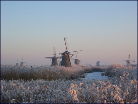 Kinderdijk tijdens molentocht