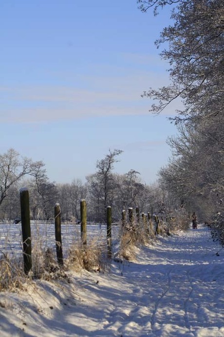 witte kerst