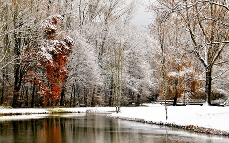 Winter wonderland!