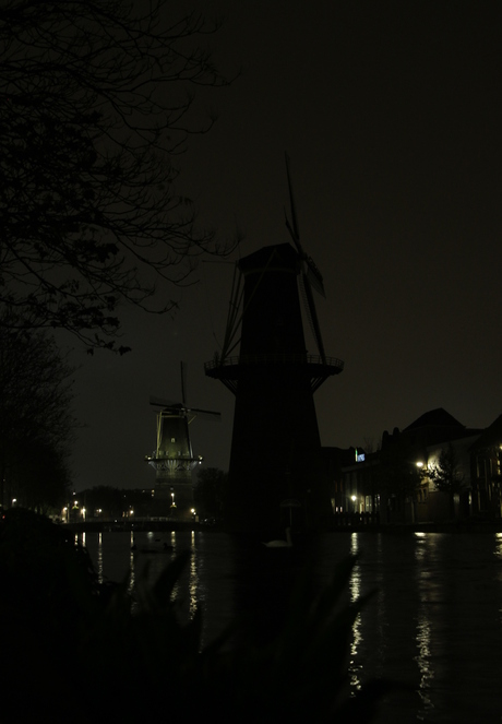 Schiedam