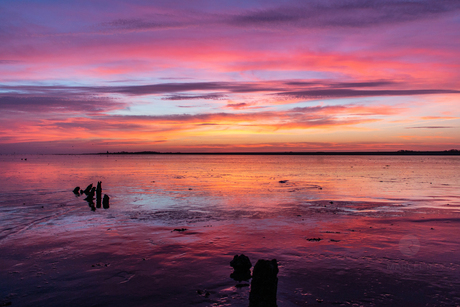 magisch wadden