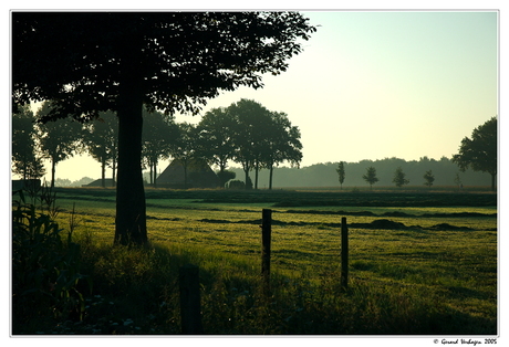 Mooi weer vandaag