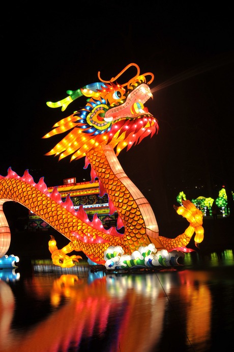 CHINA LIGHT DRAGON ROTTERDAM