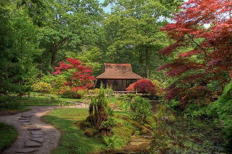 Japanse tuin in HDR nr:2