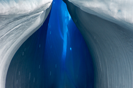 blue light, white snow