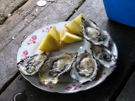Verse oesters