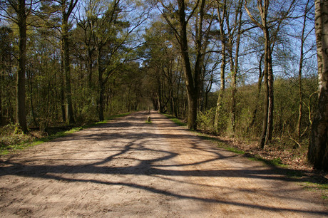 Lonnekermeerweg