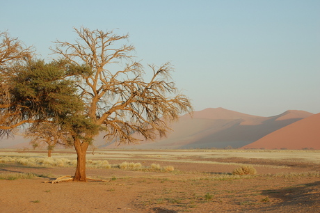 Sossusvlei namibia