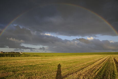 Regenboog