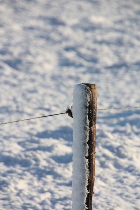 stuifsneeuw tegen afrasteringspaaltje