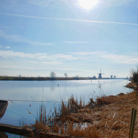 De molens van Kinderdijk