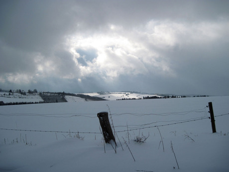 Sneeuwbuitje