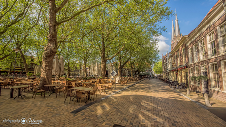 Beestenmarkt delft