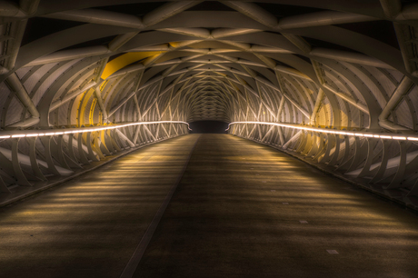 De Netkousbrug