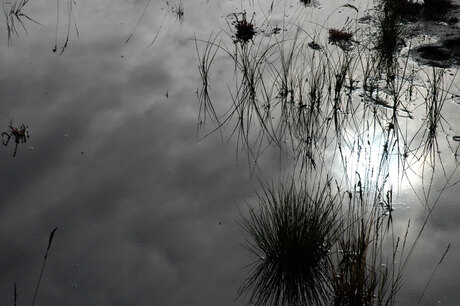 Zon in het water