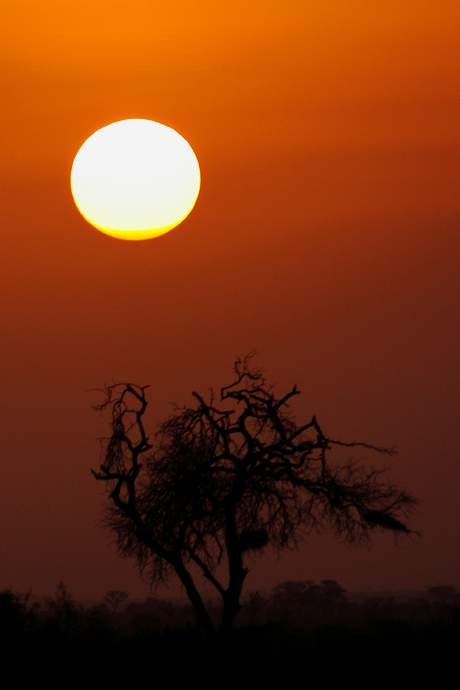 Zonsondergang in TSAVO-east