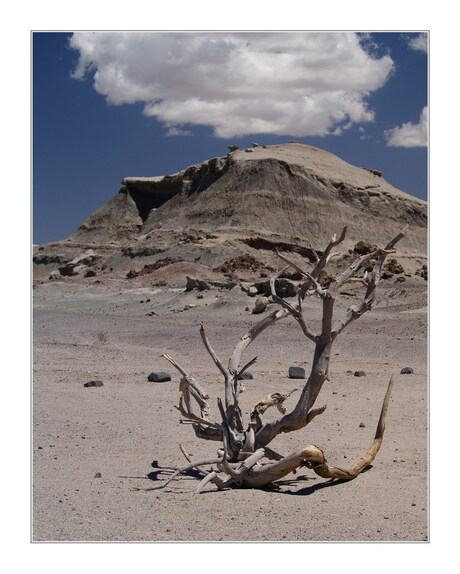 Valle de la Luna