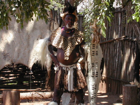 Zulu Warrior