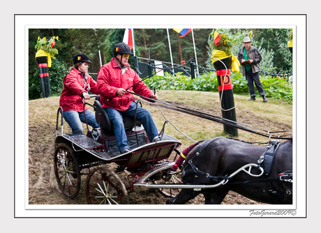 Belgische Kampioenschap mennen 2009 nr.5