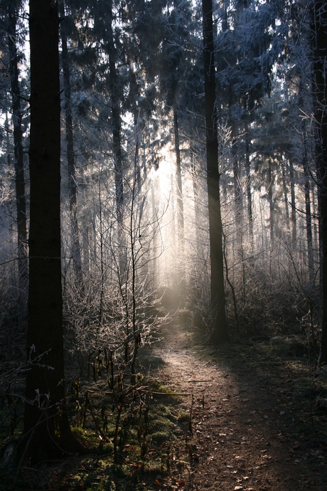 Spelen met licht