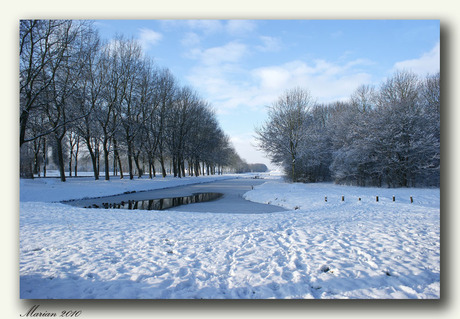 winter 2010 (2)