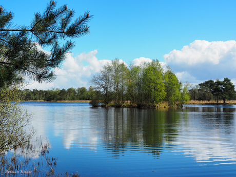 Boswachterij Leersumse Veld