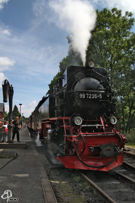 BrockenBahn Harzgebergte