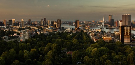 Rotterdam overview