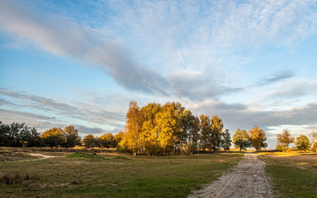 Balloërveld