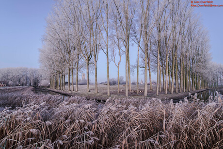 Winter landscape around Damme -4912