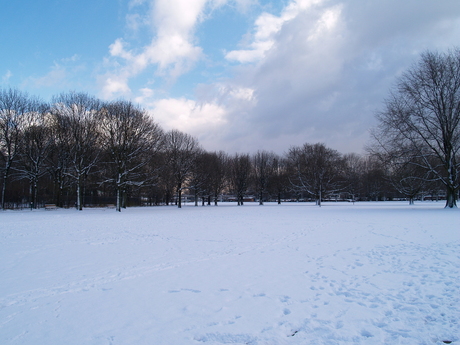 Sneeuw park