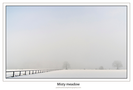 Misty meadow