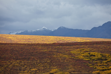 Denali National Park & Preserve