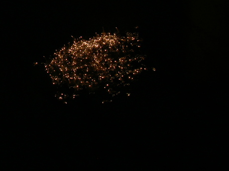 Vuurwerk