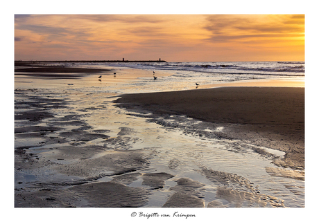 Northsea at sunset