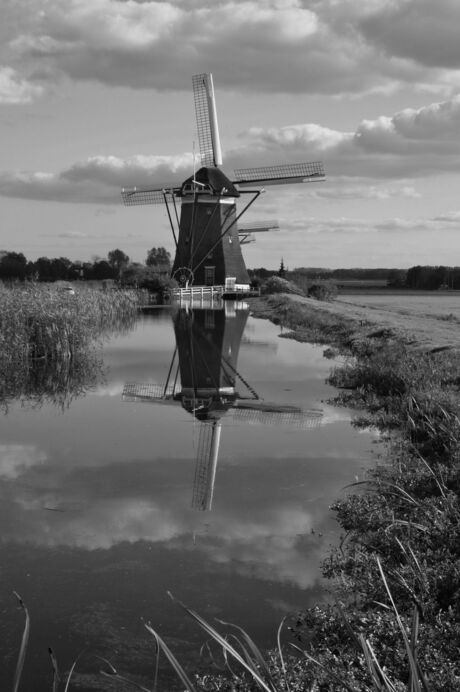 hollandse polder
