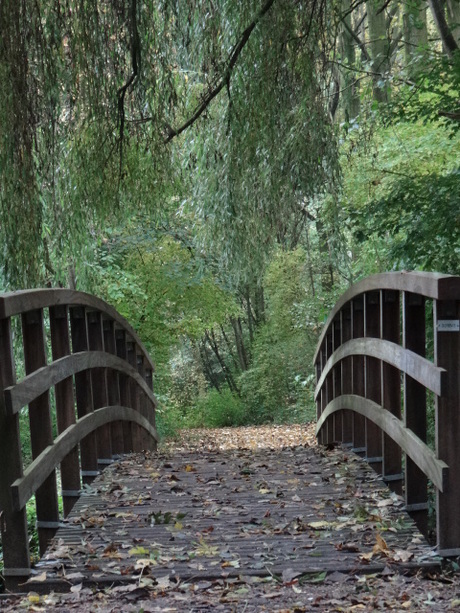 Houten bruggetje