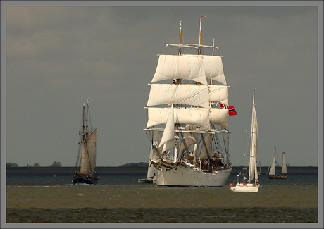 Sail 2008 (6)