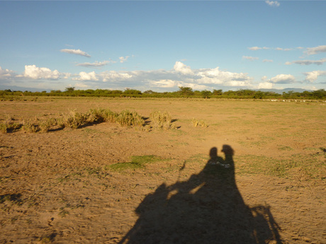 Het land van de maasai