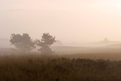 Hoge Veluwe