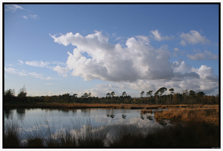 Hatertse vennen