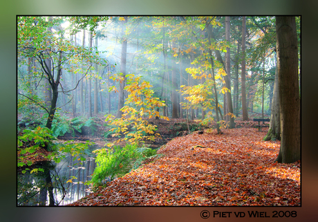 Herfstlicht