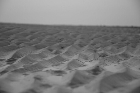 Sand waves