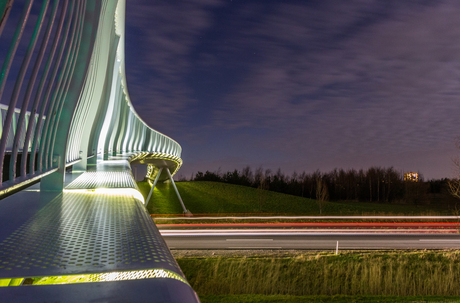 brug in park van Luna