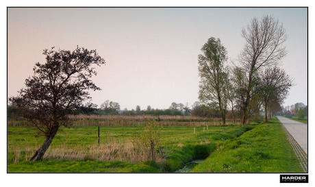 Staphorsterveld