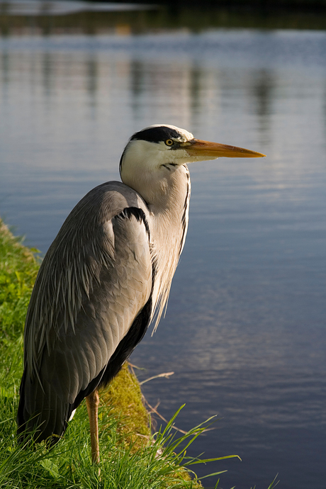 Sitting waiting fishing