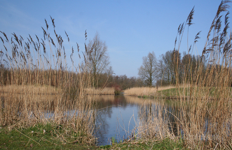 Westerpark